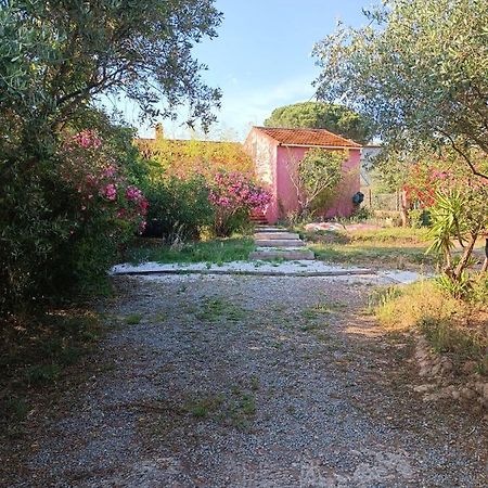 Maison De Vacances, Proche De La Plage Frejus Ngoại thất bức ảnh