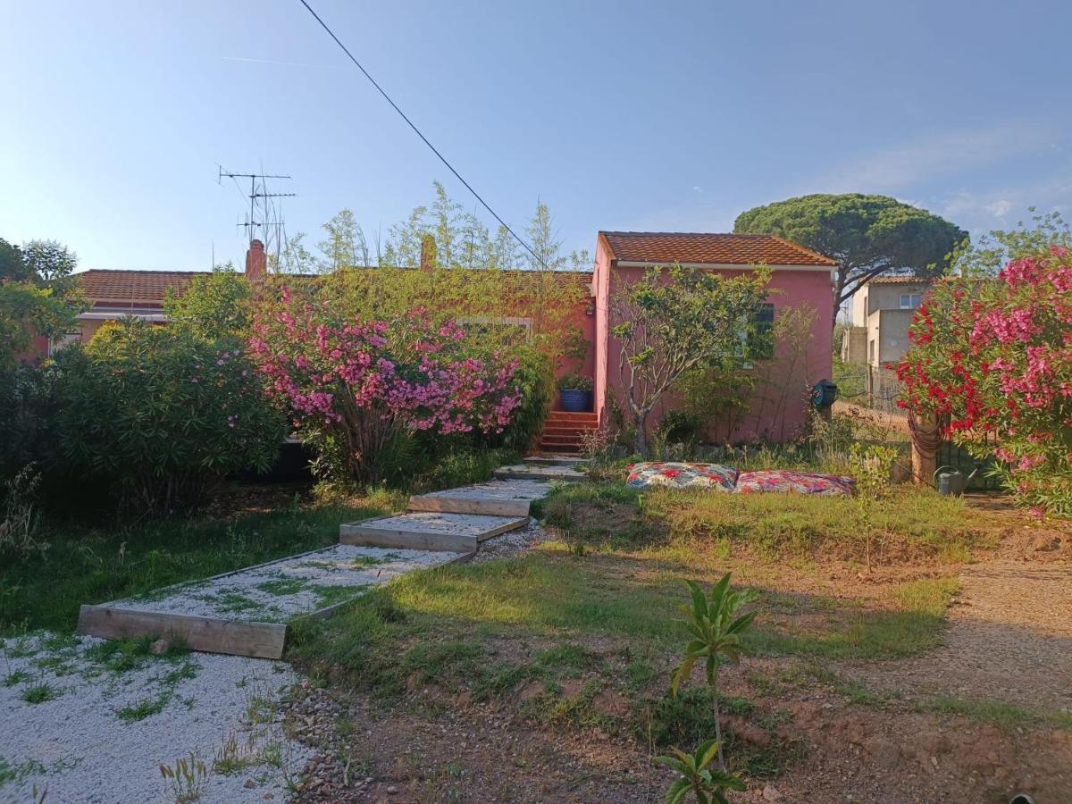 Maison De Vacances, Proche De La Plage Frejus Ngoại thất bức ảnh