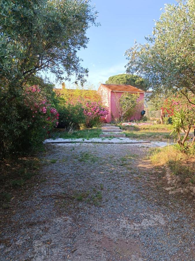 Maison De Vacances, Proche De La Plage Frejus Ngoại thất bức ảnh